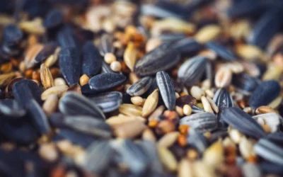 Best Masters Mix Substrate for Monotub: 10 2026 Picks