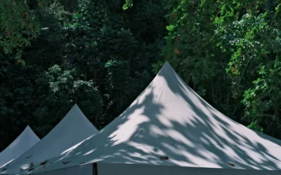 Martha Tent for Mushroom Setup Ideas for Lions Mane Guide 2026