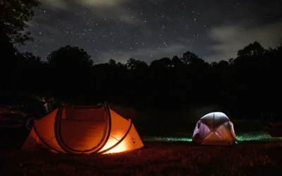 Martha Tent Kit vs Martha Tent for Mushroom: Best Pick in 2026